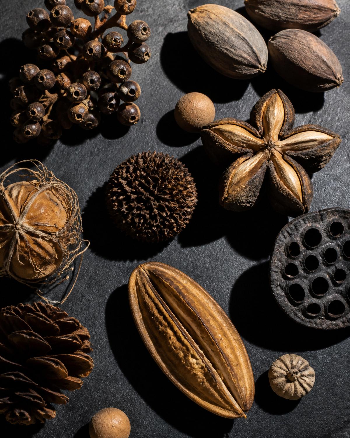 Botanical Extracts